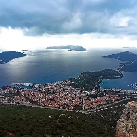 Daire Centre - The Rush -3