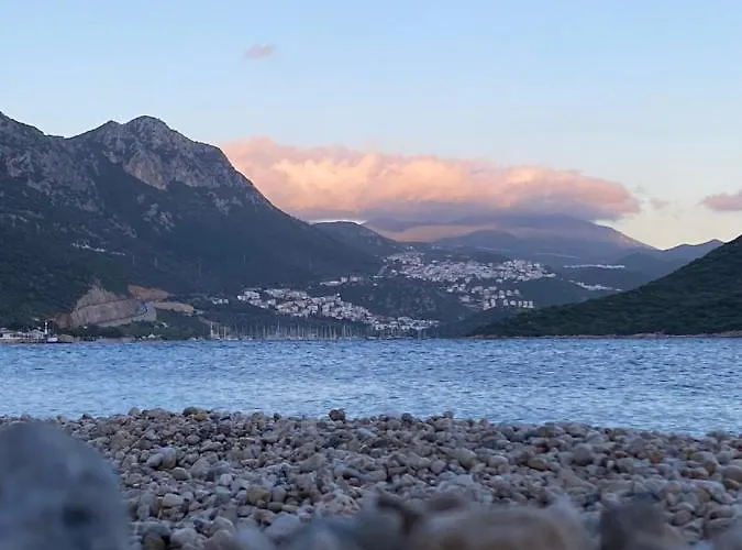 Centre - The Rush -3 Apartment *