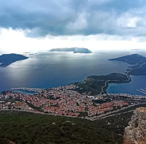 Daire Centre - The Rush -3