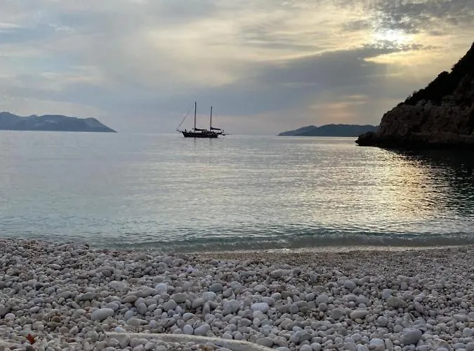 Centre - The Rush -3 Daire *